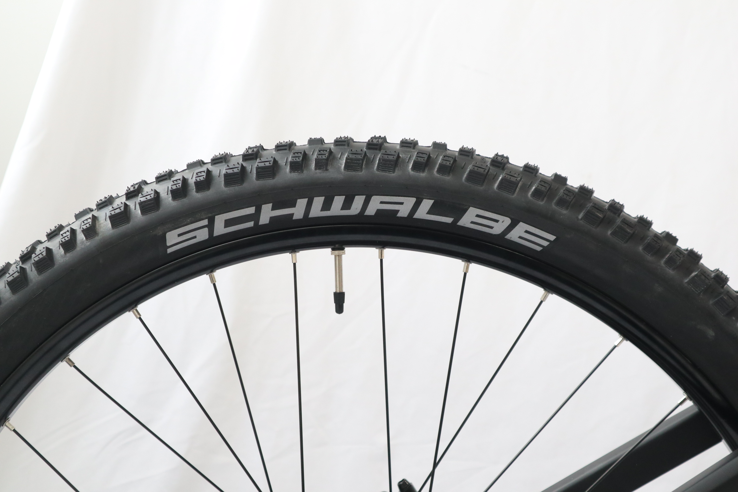 29er Aggressive Riding E-MTB,  - đánh giá và giá Mountain Biking Trails